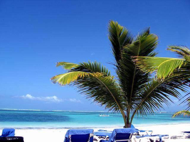 Larimar Beach Punta Cana Hotel Zewnętrze zdjęcie
